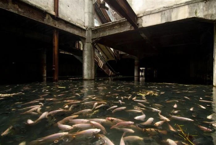 The Power Of Nature (16 pics)