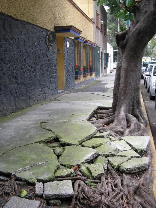 The Power Of Nature (16 pics)