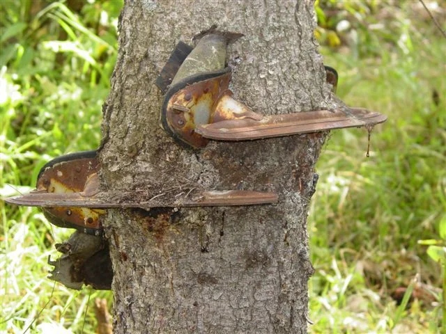 The Power Of Nature (16 pics)