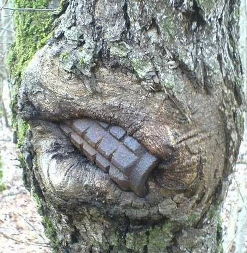 The Power Of Nature (16 pics)