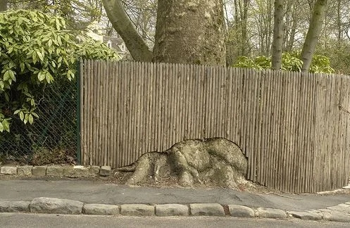 The Power Of Nature (16 pics)