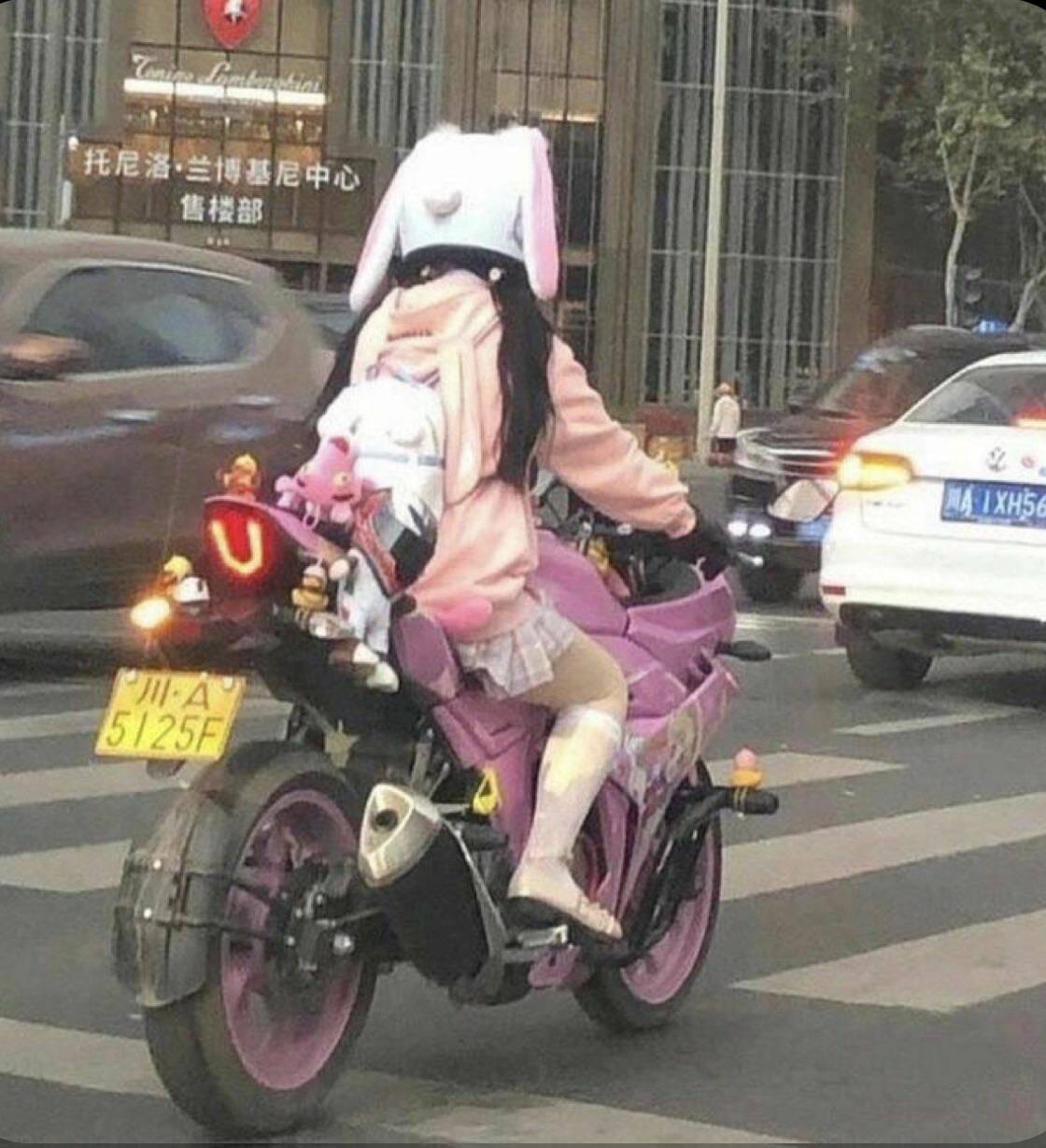 Daily Pictures. Part 1 (64 pics)