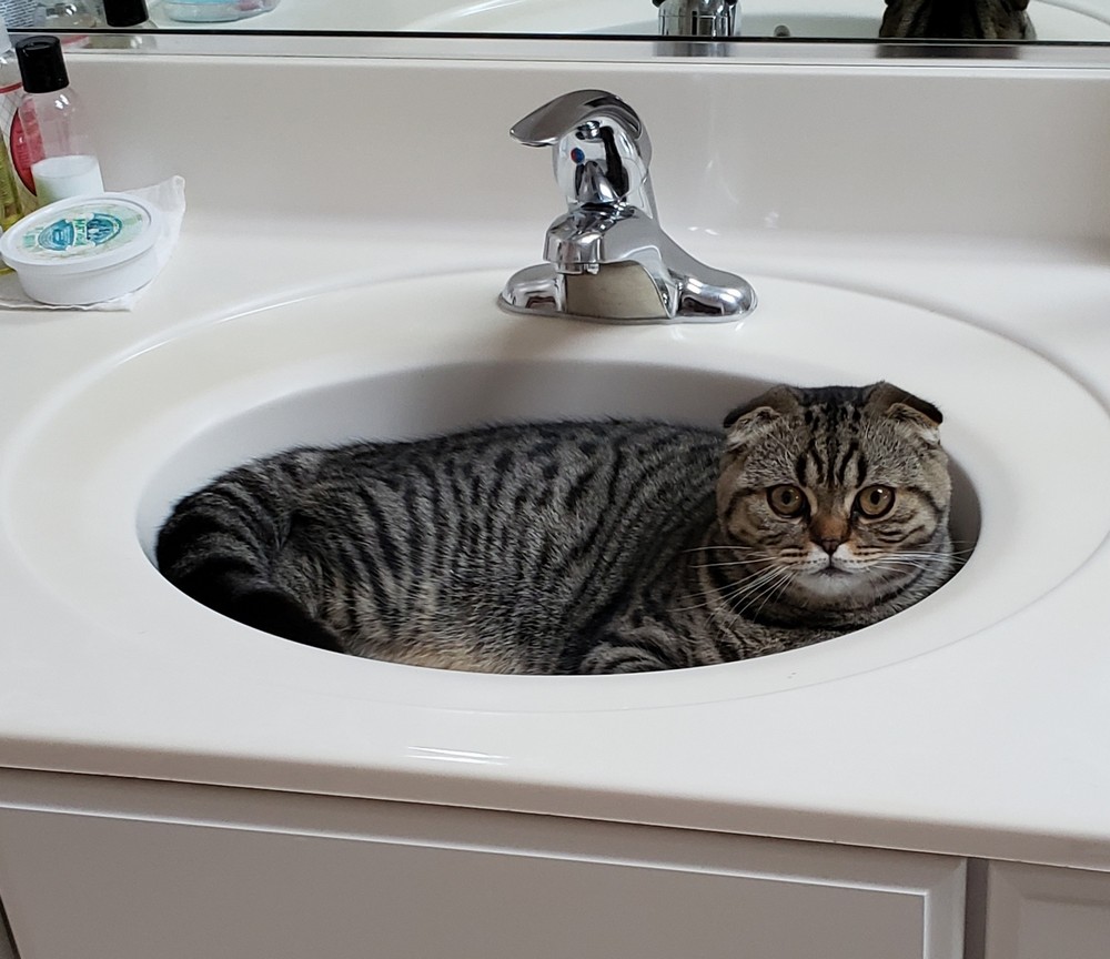 Daily Pictures. Part 2 (64 pics)