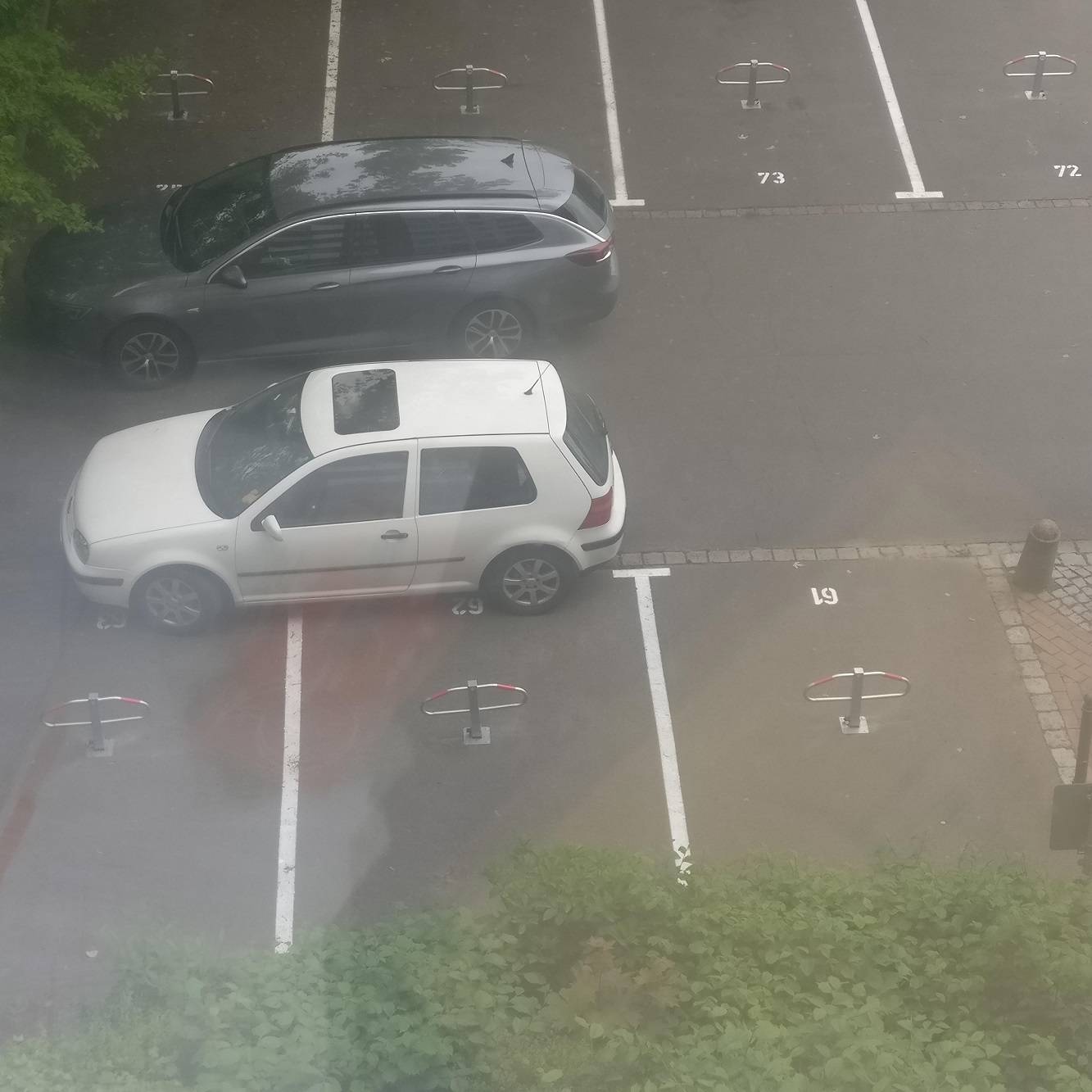 Daily Pictures. Part 2 (64 pics)