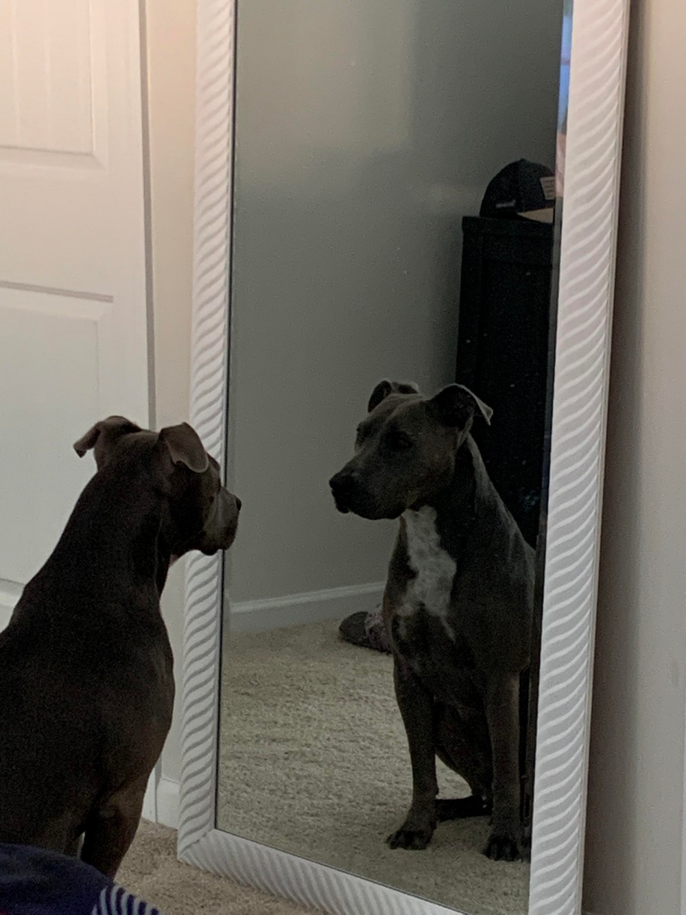 Daily Pictures. Part 2 (64 pics)