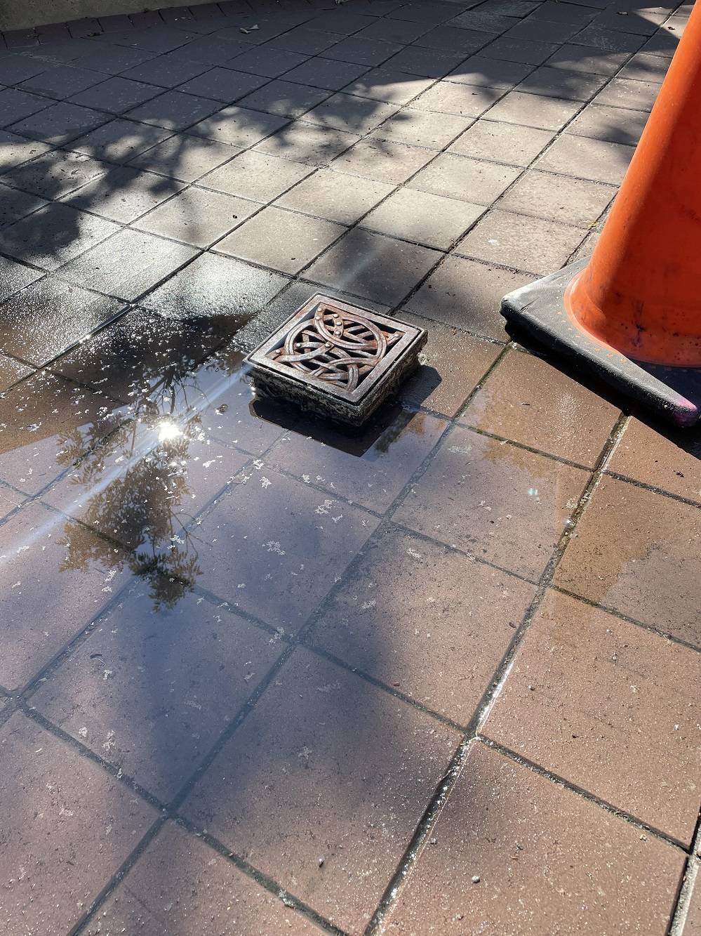 Daily Pictures. Part 2 (64 pics)