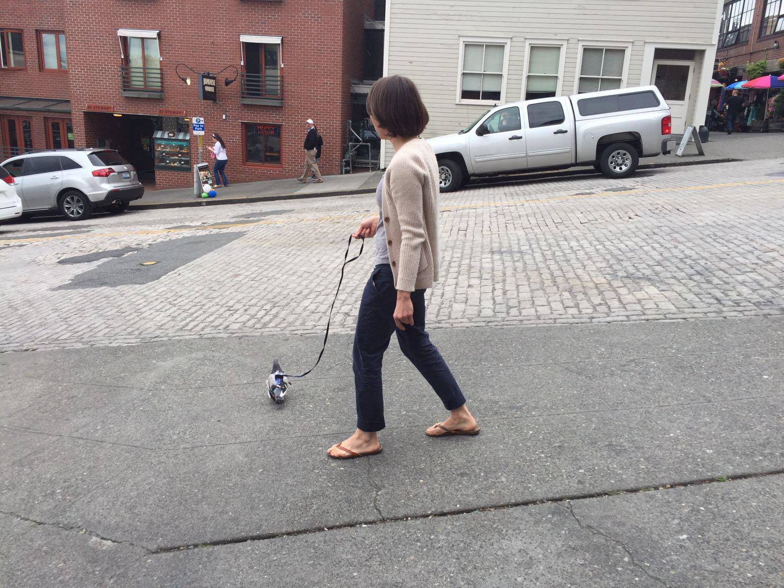 Daily Pictures. Part 2 (64 pics)