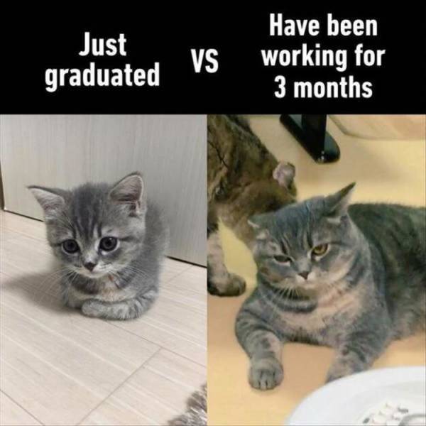 Daily Pictures. Part 2 (64 pics)