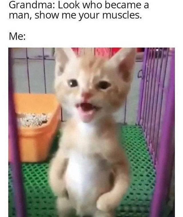 Daily Pictures. Part 2 (64 pics)