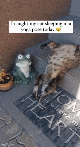 Acid GIFs, October 2 (25 gifs)