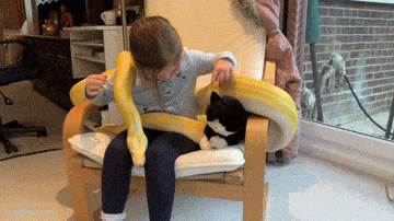 Acid GIFs, October 2 (25 gifs)