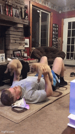 Acid GIFs, October 2 (25 gifs)