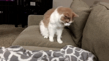 Acid GIFs, October 2 (25 gifs)
