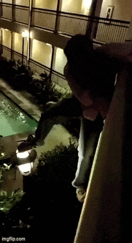 Acid GIFs, October 2 (25 gifs)