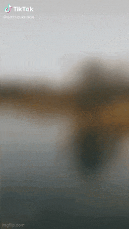 Acid GIFs, October 2 (25 gifs)
