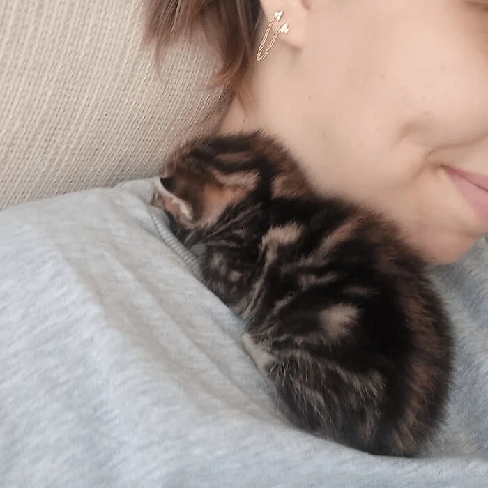 Photos For Cats Lovers (21 pics)