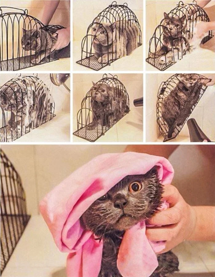Useless Inventions (17 pics)