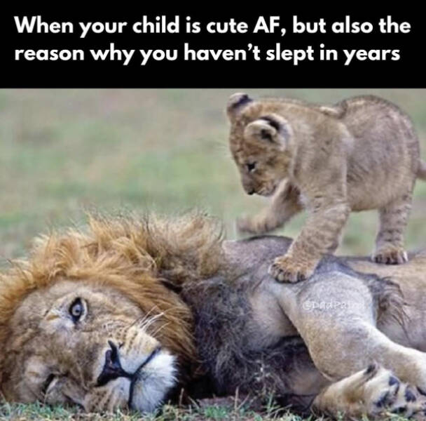 Random Jokes (17 pics)