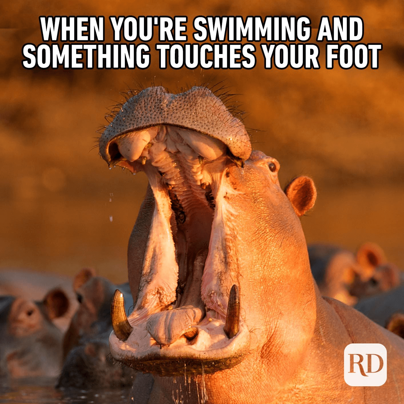 Random Jokes (17 pics)