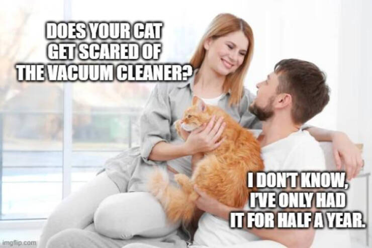 Random Jokes (17 pics)