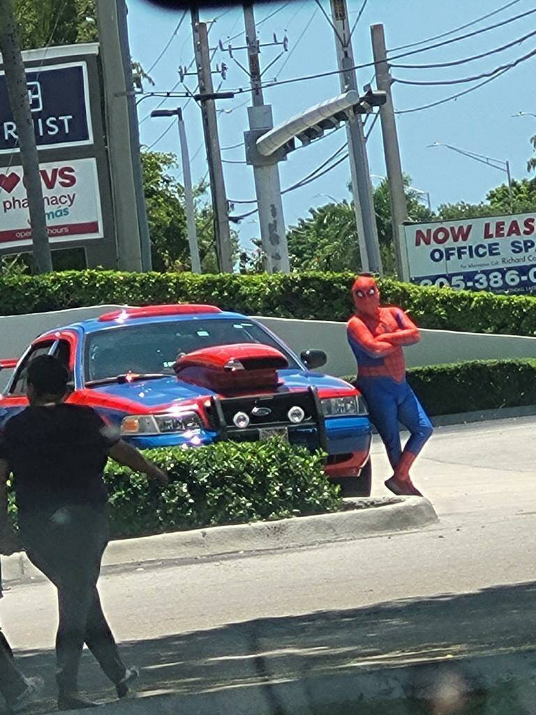 Daily Pictures. Part 2 (66 pics)