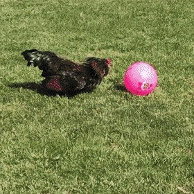 Acid GIFs, October 3 (25 gifs) Acid GIFs, October 3 (25 gifs)