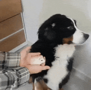 Acid GIFs, October 3 (25 gifs) Acid GIFs, October 3 (25 gifs)