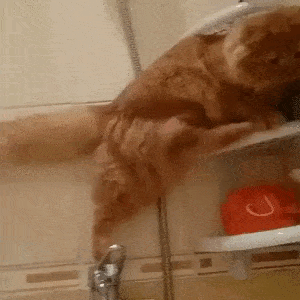 Acid GIFs, October 3 (25 gifs) Acid GIFs, October 3 (25 gifs)