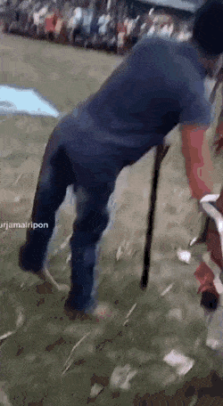 Acid GIFs, October 3 (25 gifs) Acid GIFs, October 3 (25 gifs)