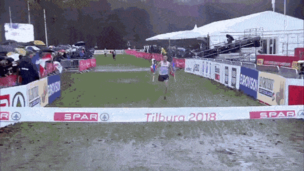 Acid GIFs, October 3 (25 gifs) Acid GIFs, October 3 (25 gifs)