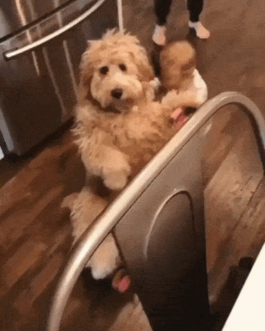 Acid GIFs, October 3 (25 gifs) Acid GIFs, October 3 (25 gifs)