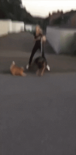 1759439983_23.gif