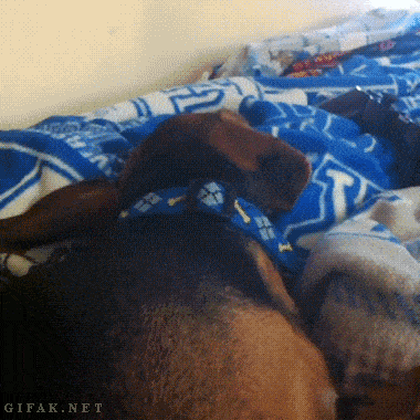 Acid GIFs, October 3 (25 gifs) Acid GIFs, October 3 (25 gifs)