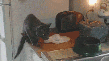 Acid GIFs, October 3 (25 gifs) Acid GIFs, October 3 (25 gifs)