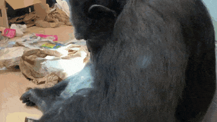 Acid GIFs, October 3 (25 gifs) Acid GIFs, October 3 (25 gifs)
