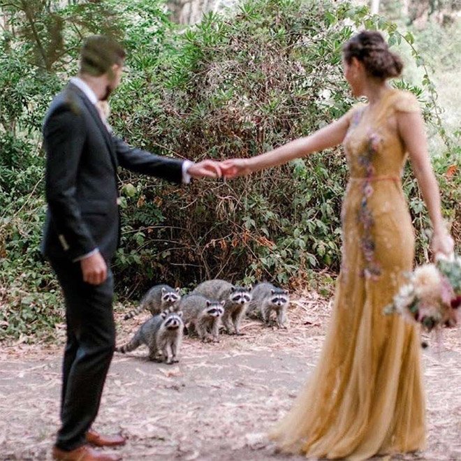 Funny Photobombs (19 pics)
