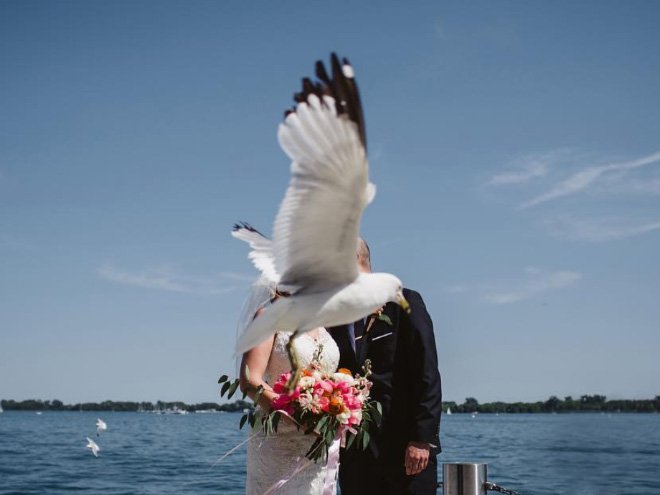 Funny Photobombs (19 pics)
