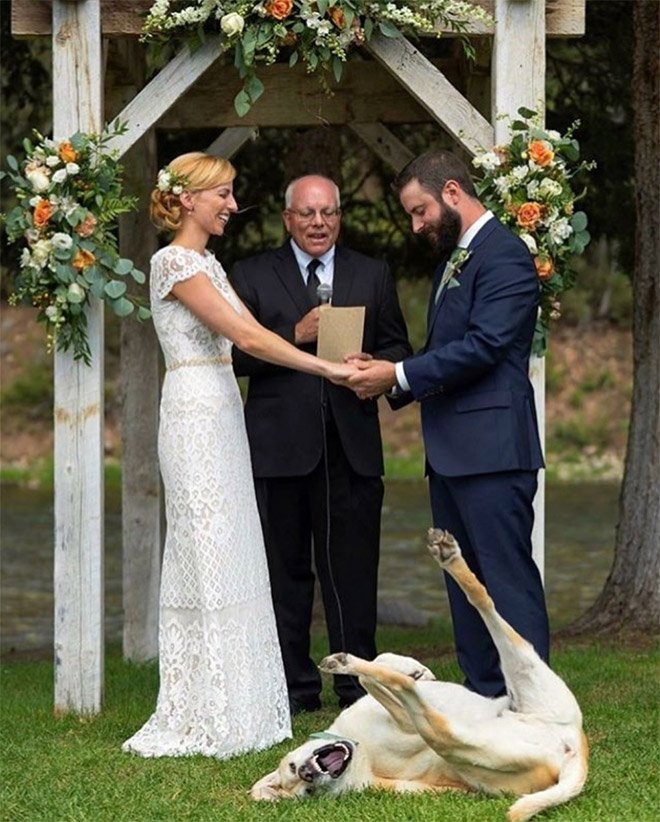 Funny Photobombs (19 pics)