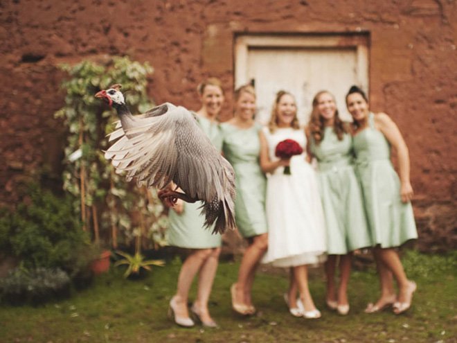 Funny Photobombs (19 pics)