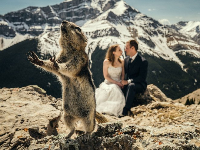 Funny Photobombs (19 pics)