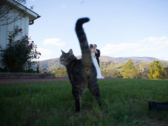 Funny Photobombs (19 pics)