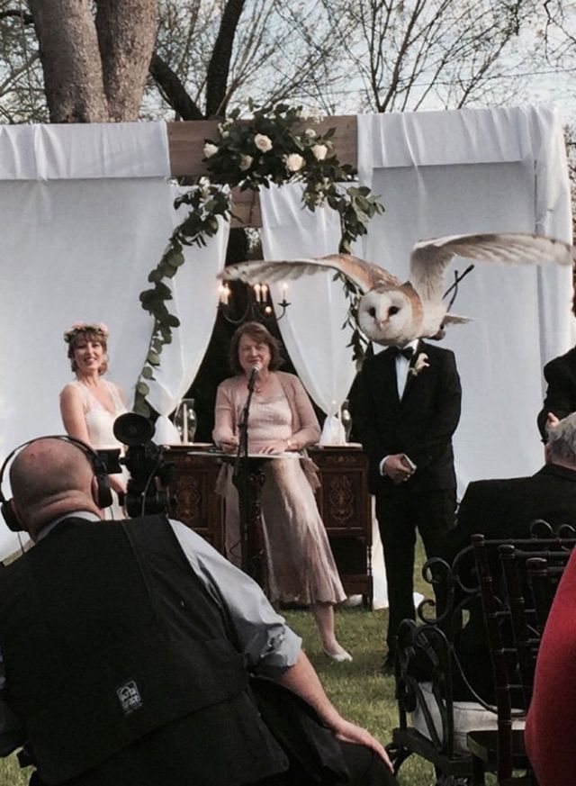 Funny Photobombs (19 pics)