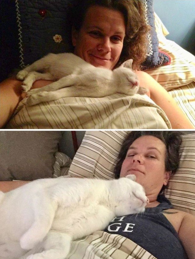 Adopted Pets (20 pics)