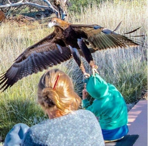 Unfortunate Situations (15 pics)