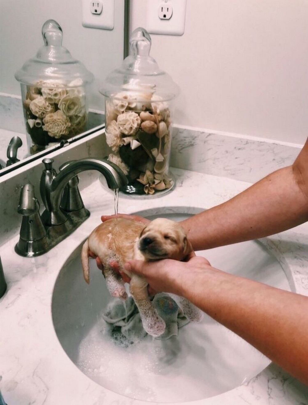 Daily Pictures. Part 2 (62 pics)
