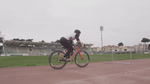 Acid GIFs, October 6 (25 gifs) Acid GIFs, October 6 (25 gifs)