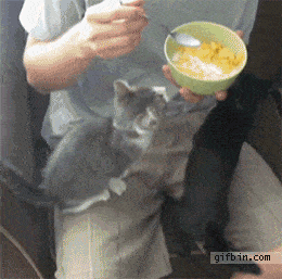 Acid GIFs, October 6 (25 gifs) Acid GIFs, October 6 (25 gifs)