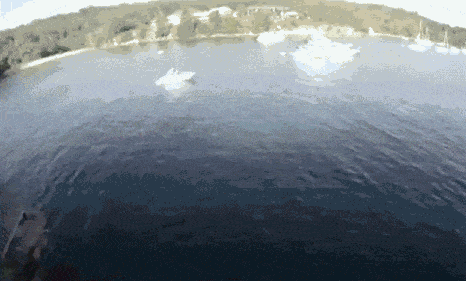 Acid GIFs, October 6 (25 gifs) Acid GIFs, October 6 (25 gifs)