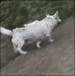 Acid GIFs, October 6 (25 gifs) Acid GIFs, October 6 (25 gifs)