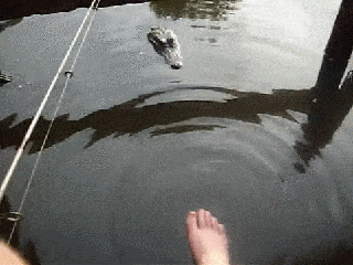 Acid GIFs, October 6 (25 gifs) Acid GIFs, October 6 (25 gifs)